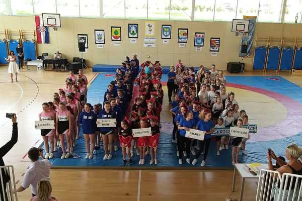 61627094_439044126655180_5779773383268892672_n