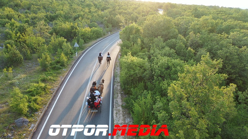 svati-damjanovici-11621-10