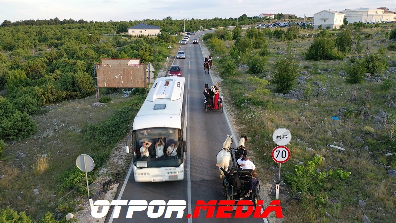 svati-damjanovici-11621-11