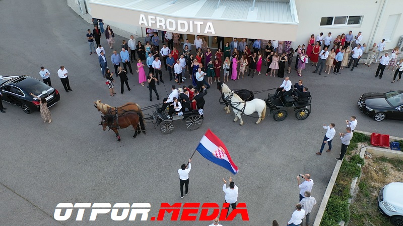 svati-damjanovici-11621-12