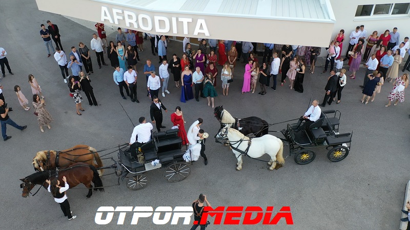 svati-damjanovici-11621-13