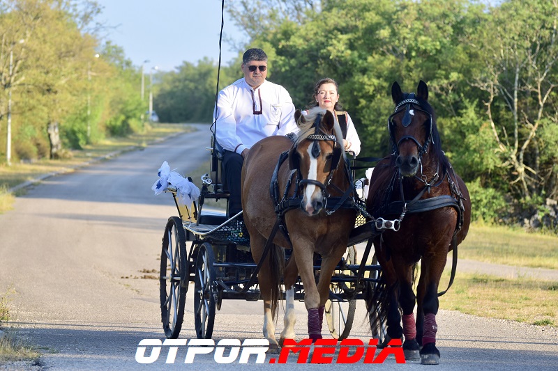 svati-damjanovici-11621-14