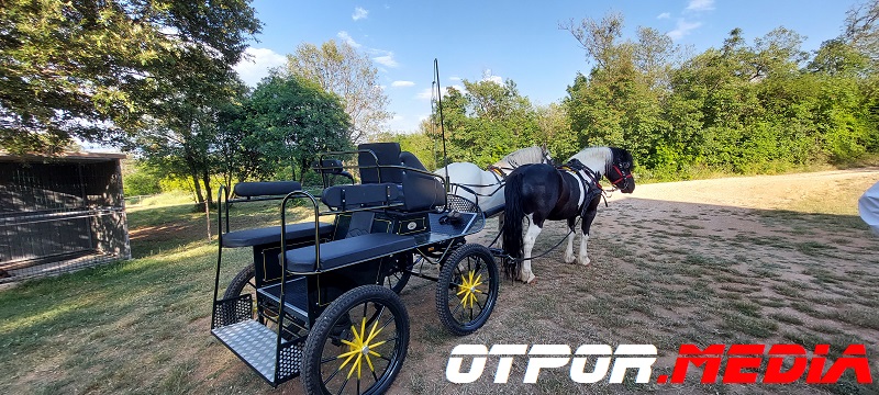 svati-damjanovici-11621-17