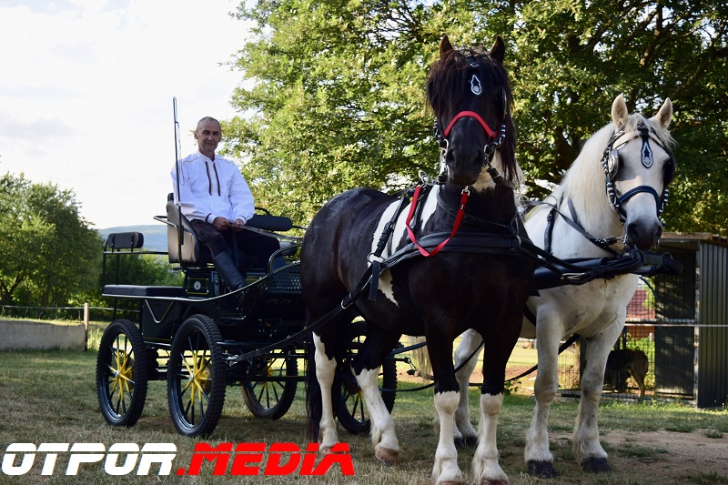 svati-damjanovici-11621-18