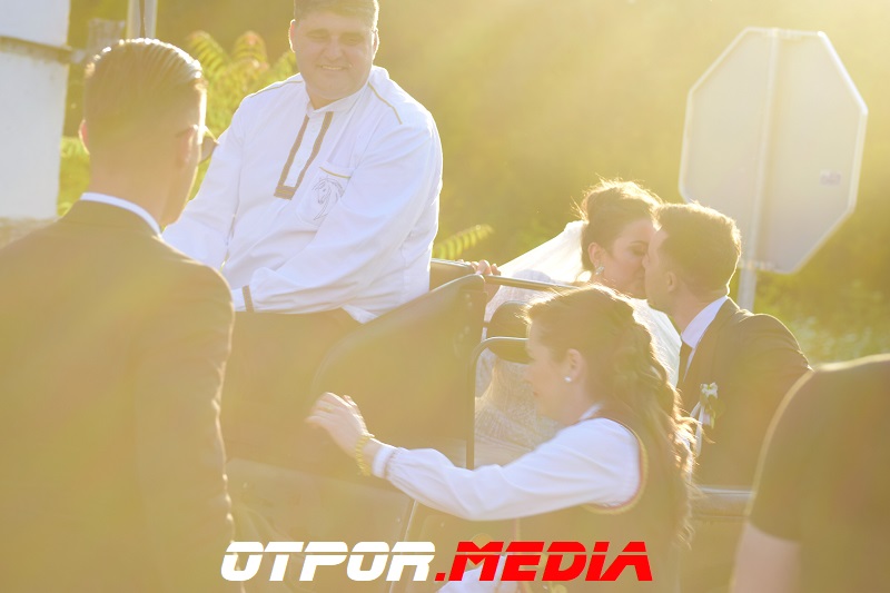 svati-damjanovici-11621-19