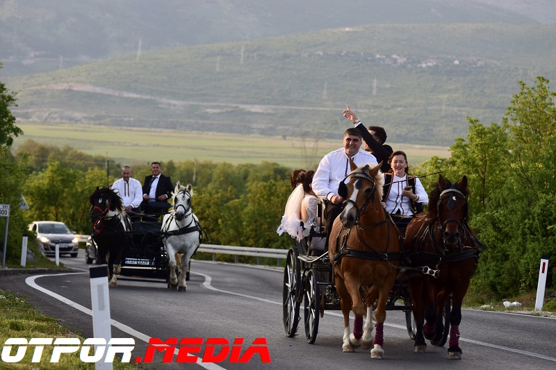 svati-damjanovici-11621-21