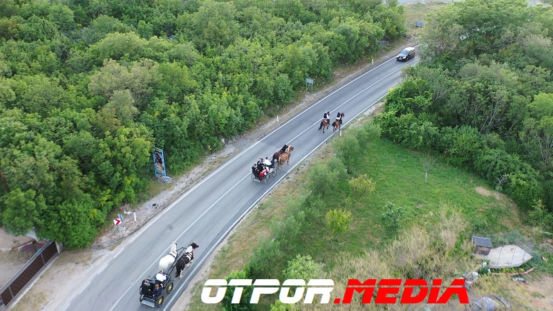 svati-damjanovici-11621-9