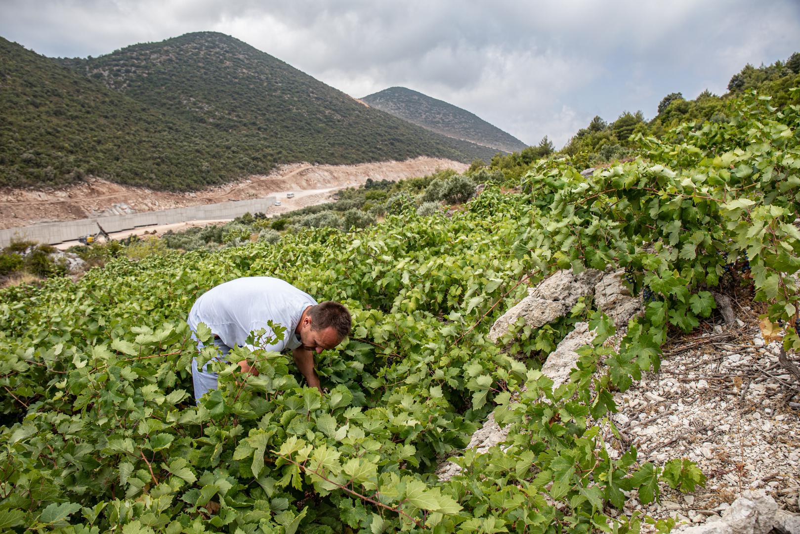 711fe11ce1361444a77e