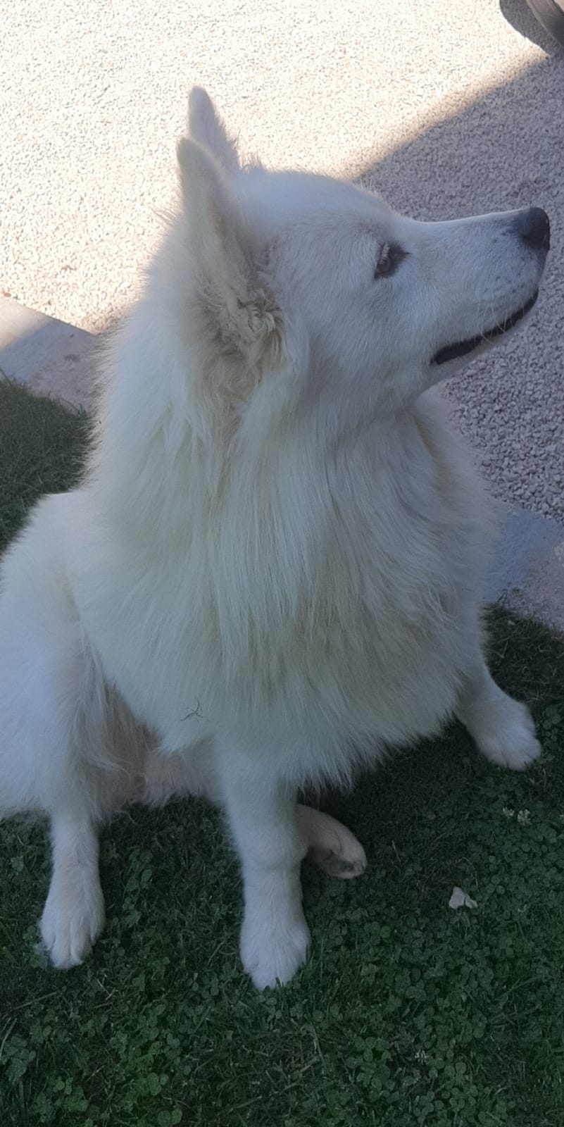 viber_image_2021-08-05_09-45-33-691