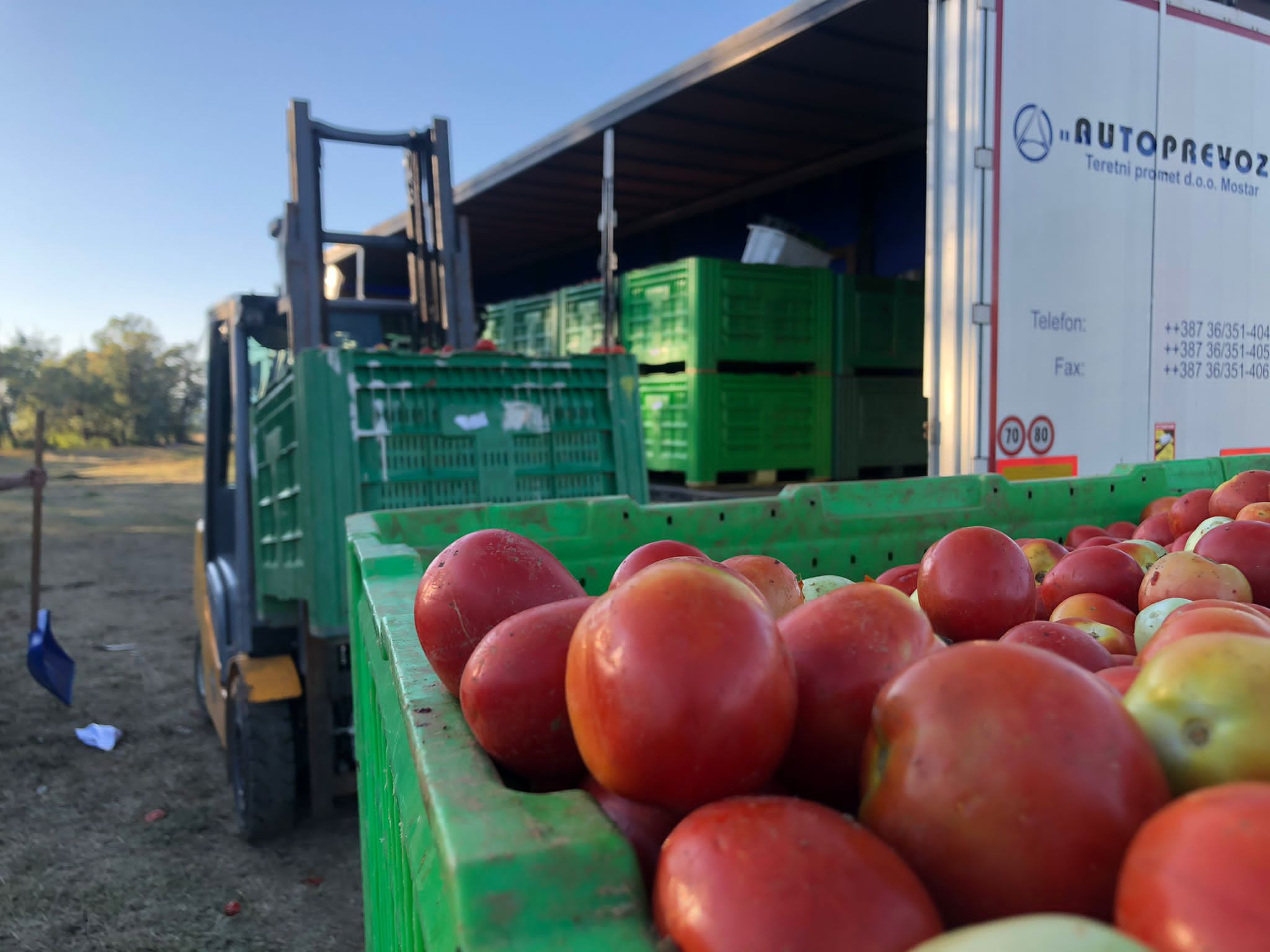 2-2021-09-10-08-42-05-IMG-20210908-WA0001