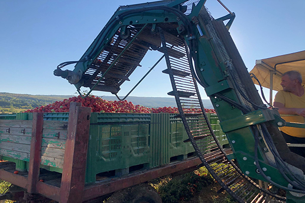 2-2021-09-10-08-42-05-IMG-20210908-WA0003