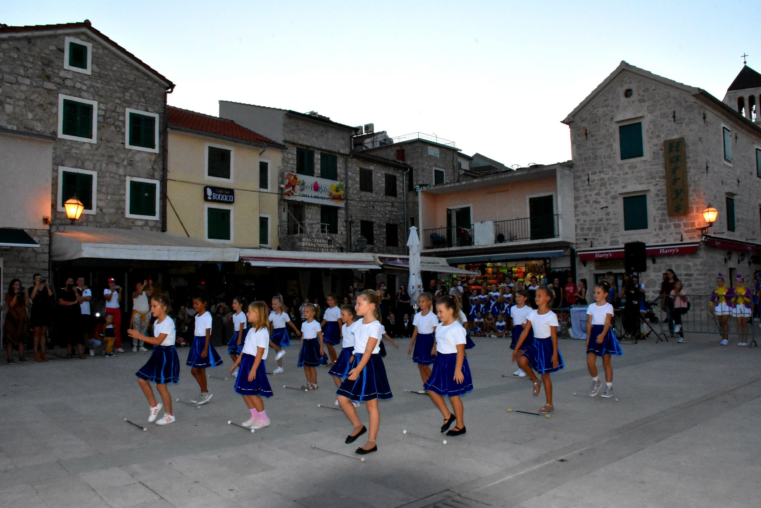 DSC_3090 DSC_3090