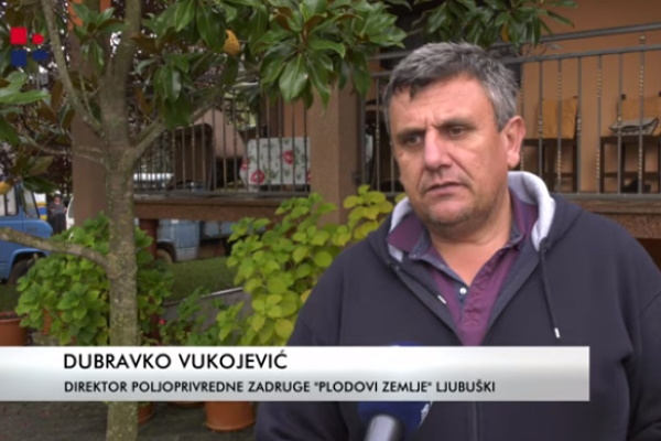Dubravko_Vukojevic_rtvhb
