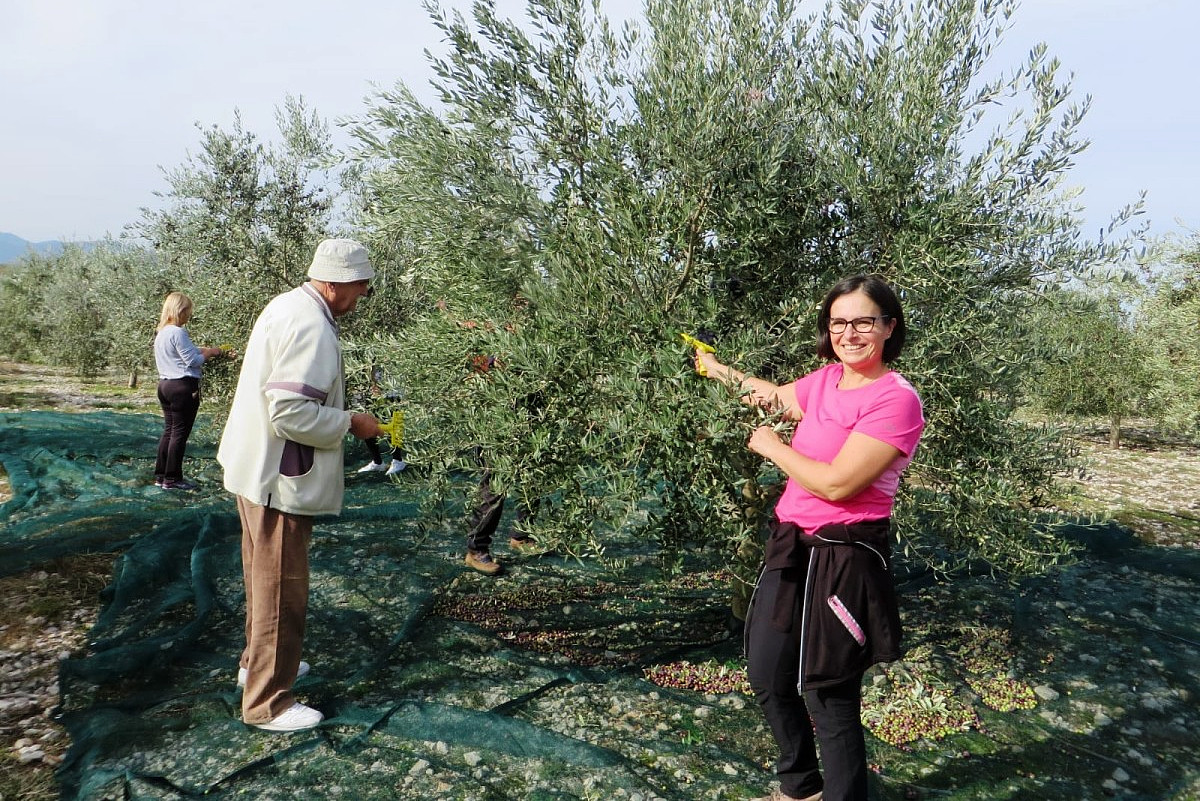 432b82cb-8306-479a-b097-2075bd5c9fbd