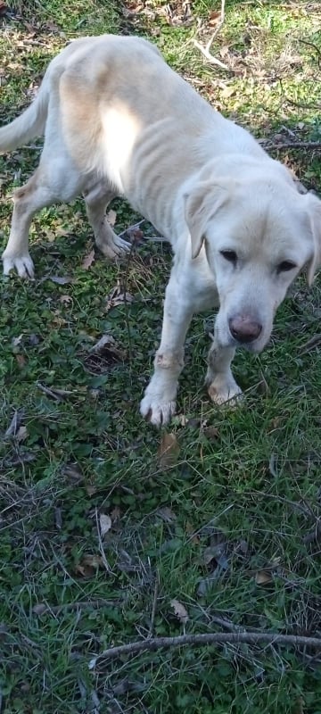 273221752_2145264155657876_6004968728122656737_n