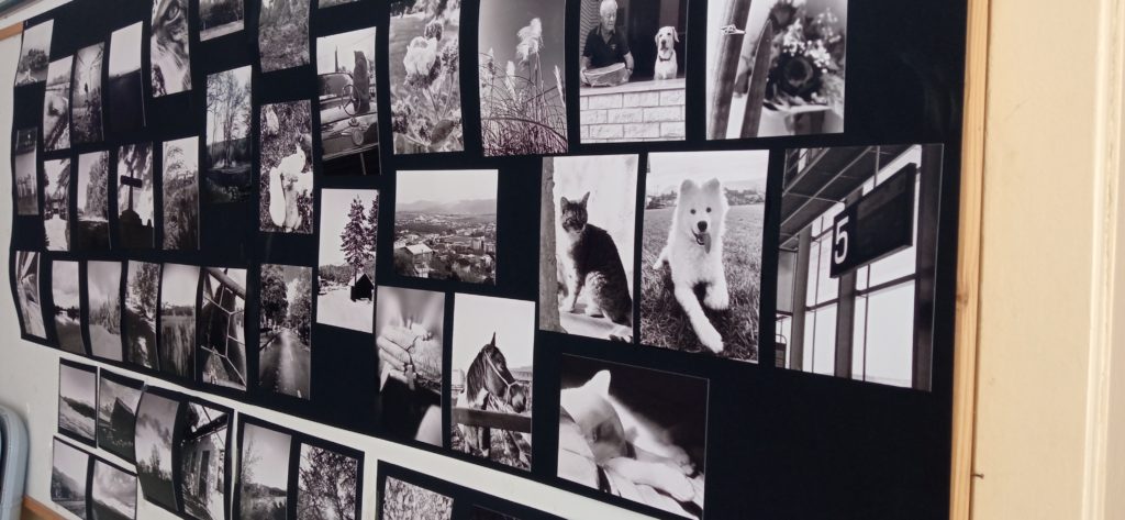 1649835519848-1024x473-1