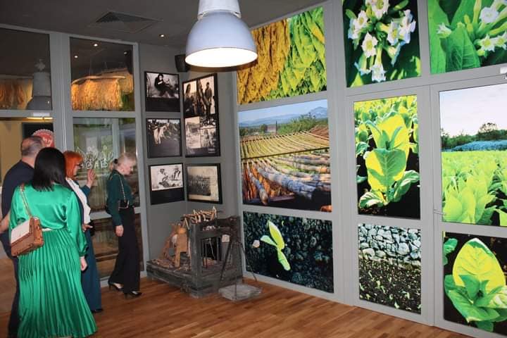 279525657_10225250106496222_8193476393547953749_n