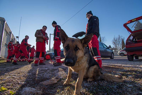 50668933_387744295323314_7223775580418736128_n