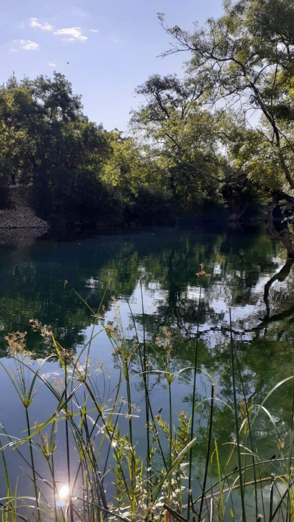 rlj-kravica-28-576x1024-1