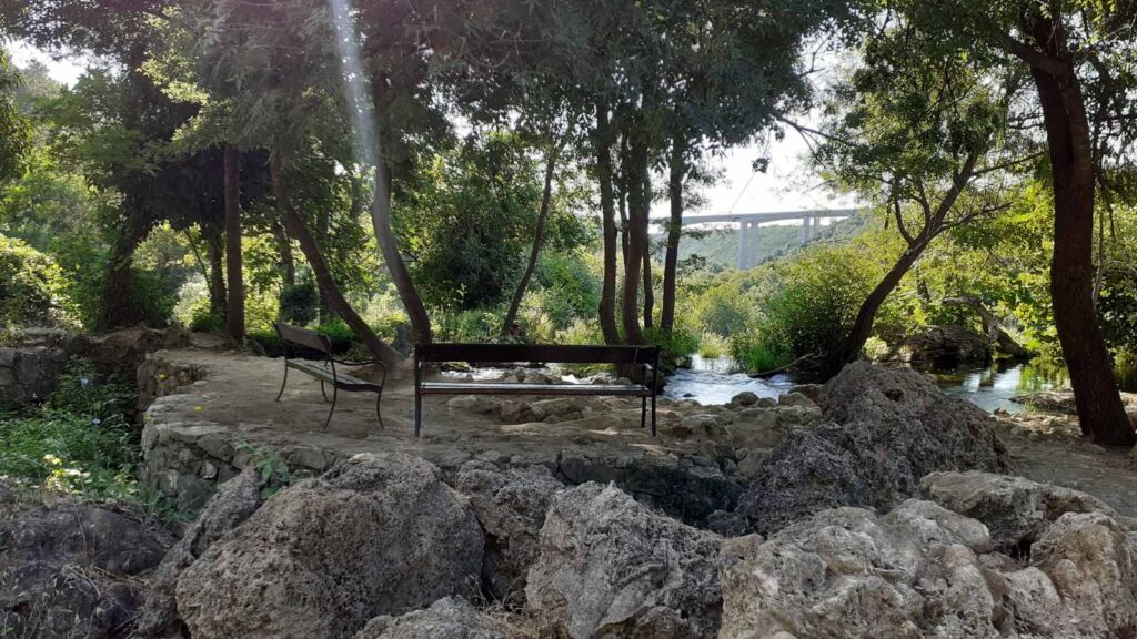 rlj-kravica-8-1024x576-1