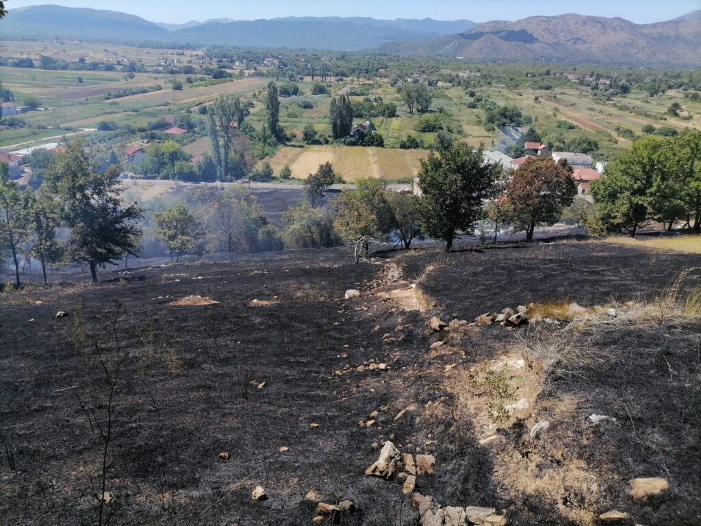 1659346898221-1024x768-1