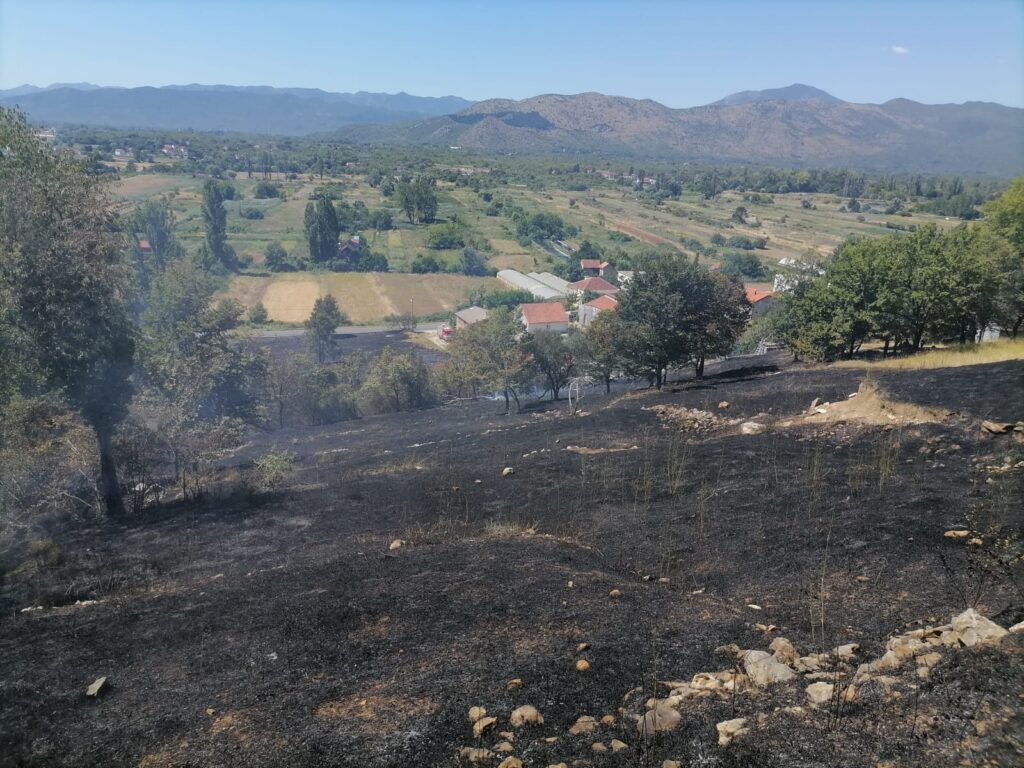 1659346898246-1024x768-1