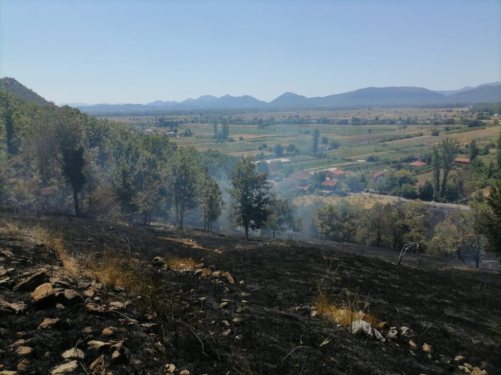 1659346898274-1024x768-1