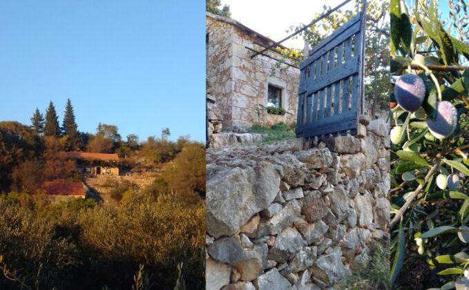 mrljanovac-2-2048x12661-1