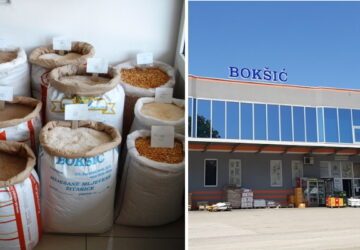 boksic