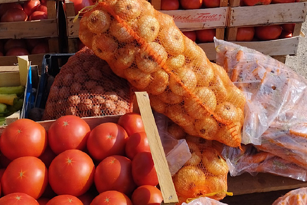 veletrznica-tasovcici