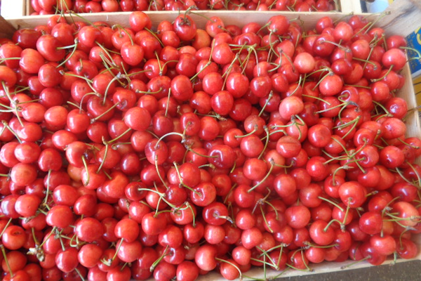 Tresnjes