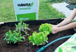 naslovnica-hawita-768x432-1