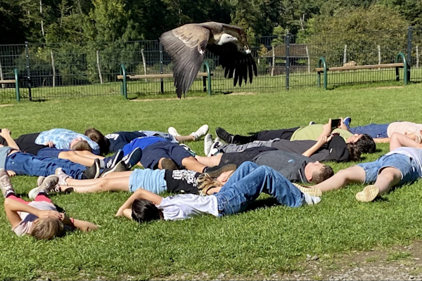 lezacina