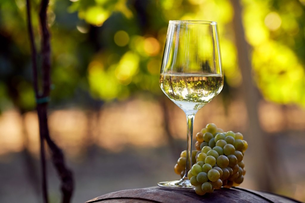 vino