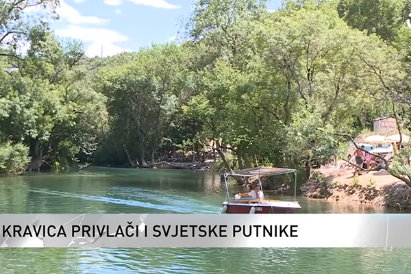 kravica