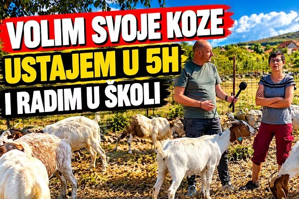 koze